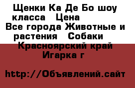 Щенки Ка Де Бо шоу класса › Цена ­ 60 000 - Все города Животные и растения » Собаки   . Красноярский край,Игарка г.